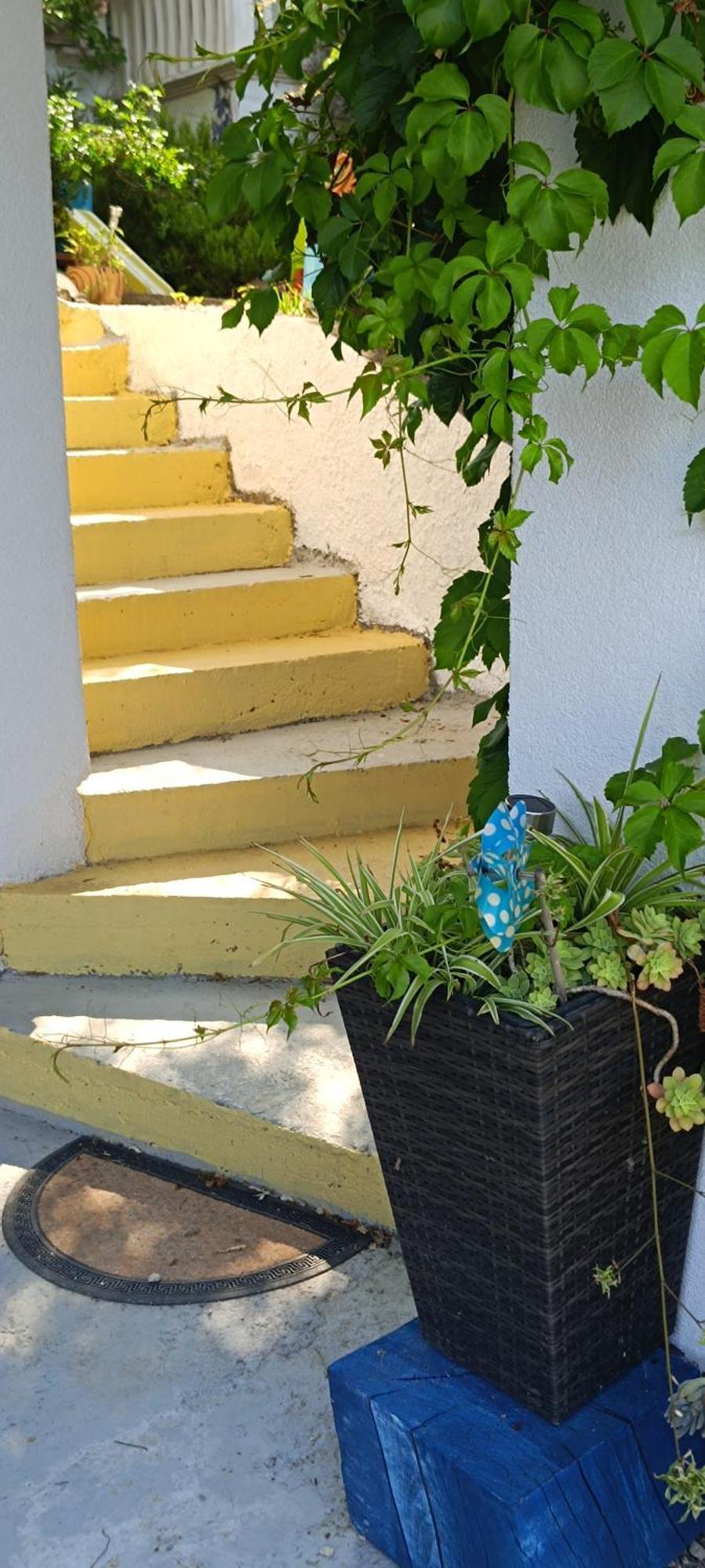 Case de vacanță Drescher *